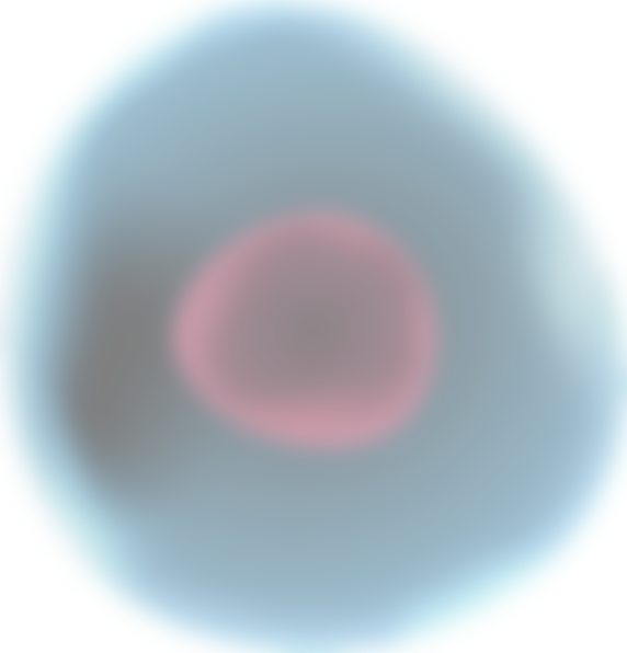 cell02-1.png