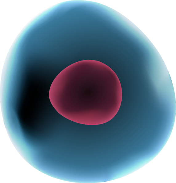 cell02.png