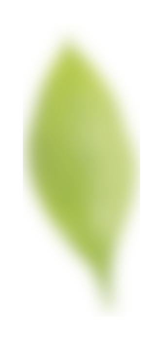 leaf02.png