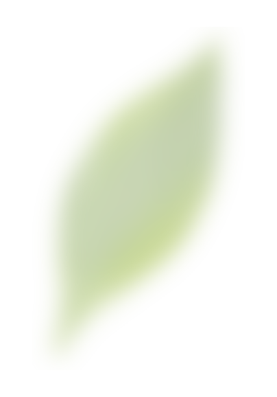 leaf03.png