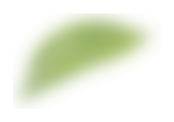 leaf06.png